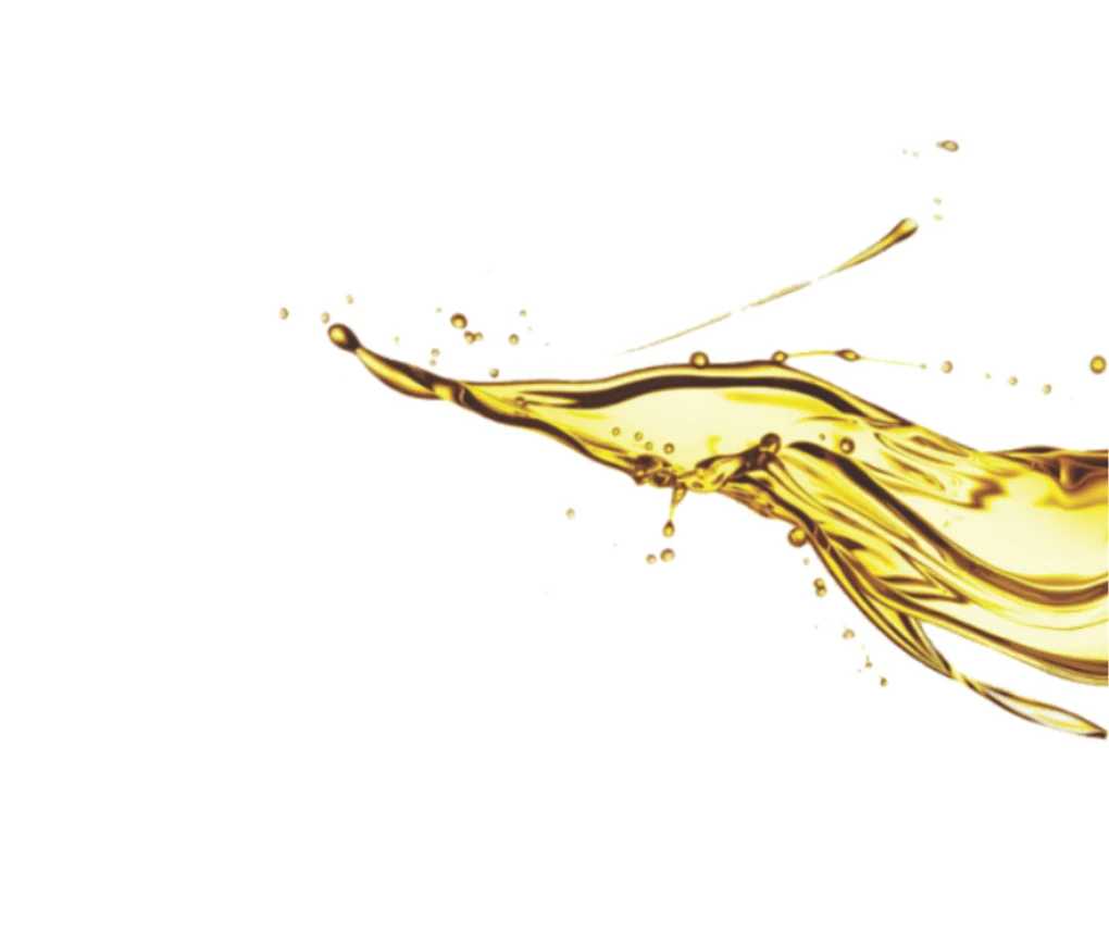 Ativos e cuidado da linha Repair Finisher